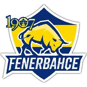 Fenerbahce Espor