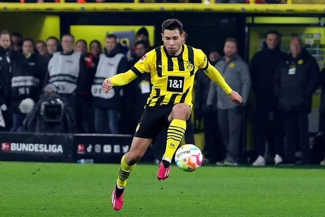 Raphael Guerreiro