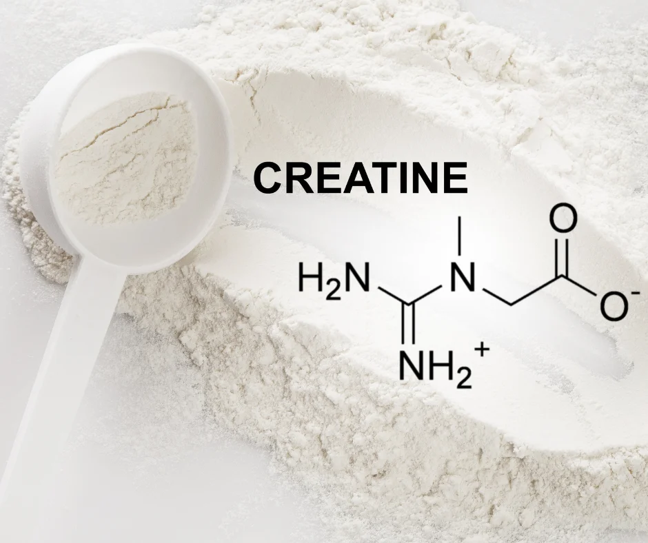 kreatin monohidrat nedir