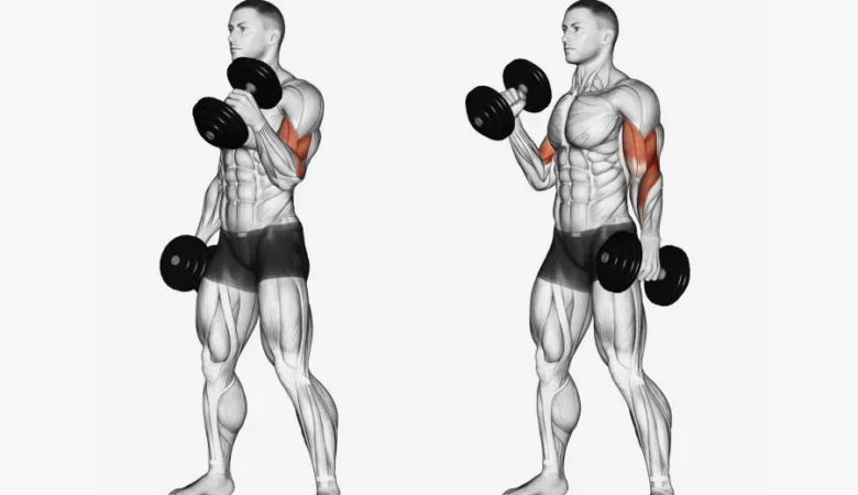 Alternating Standing Dumbbell curl