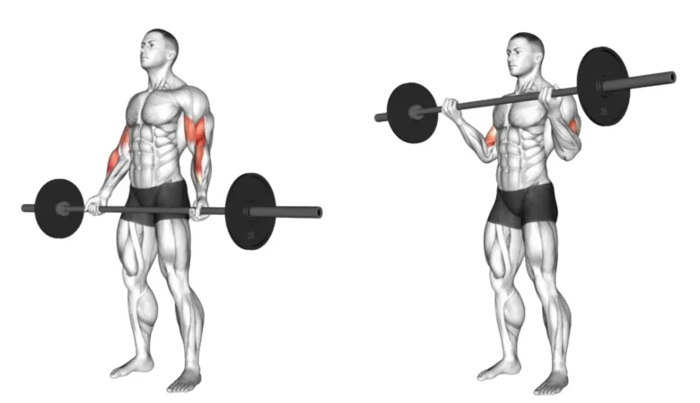 Close Grip Standing Barbell Curl