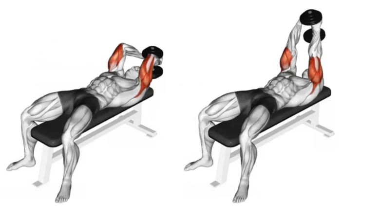 Lying Triceps Extensions Hareketi Nasıl Yapılır? Hangi Kasları Çalıştırır?