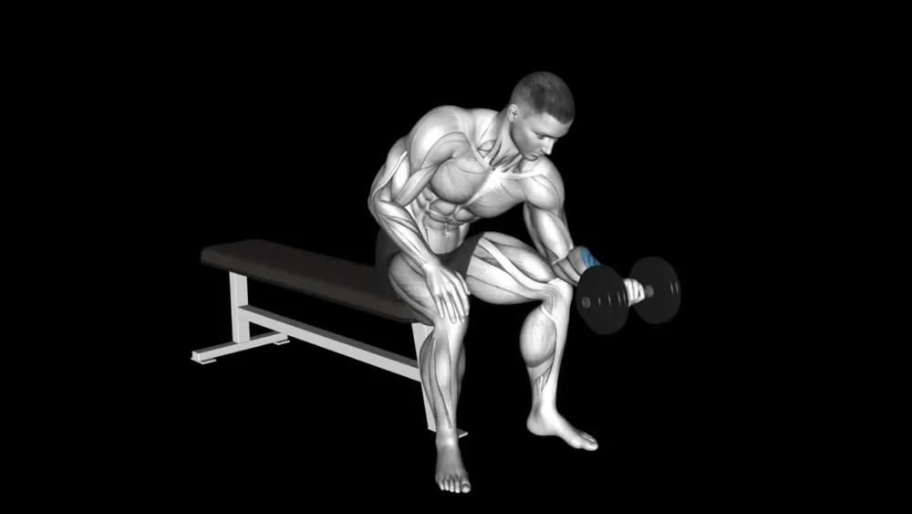 One Arm Prone Hammer Dumbbell Curl